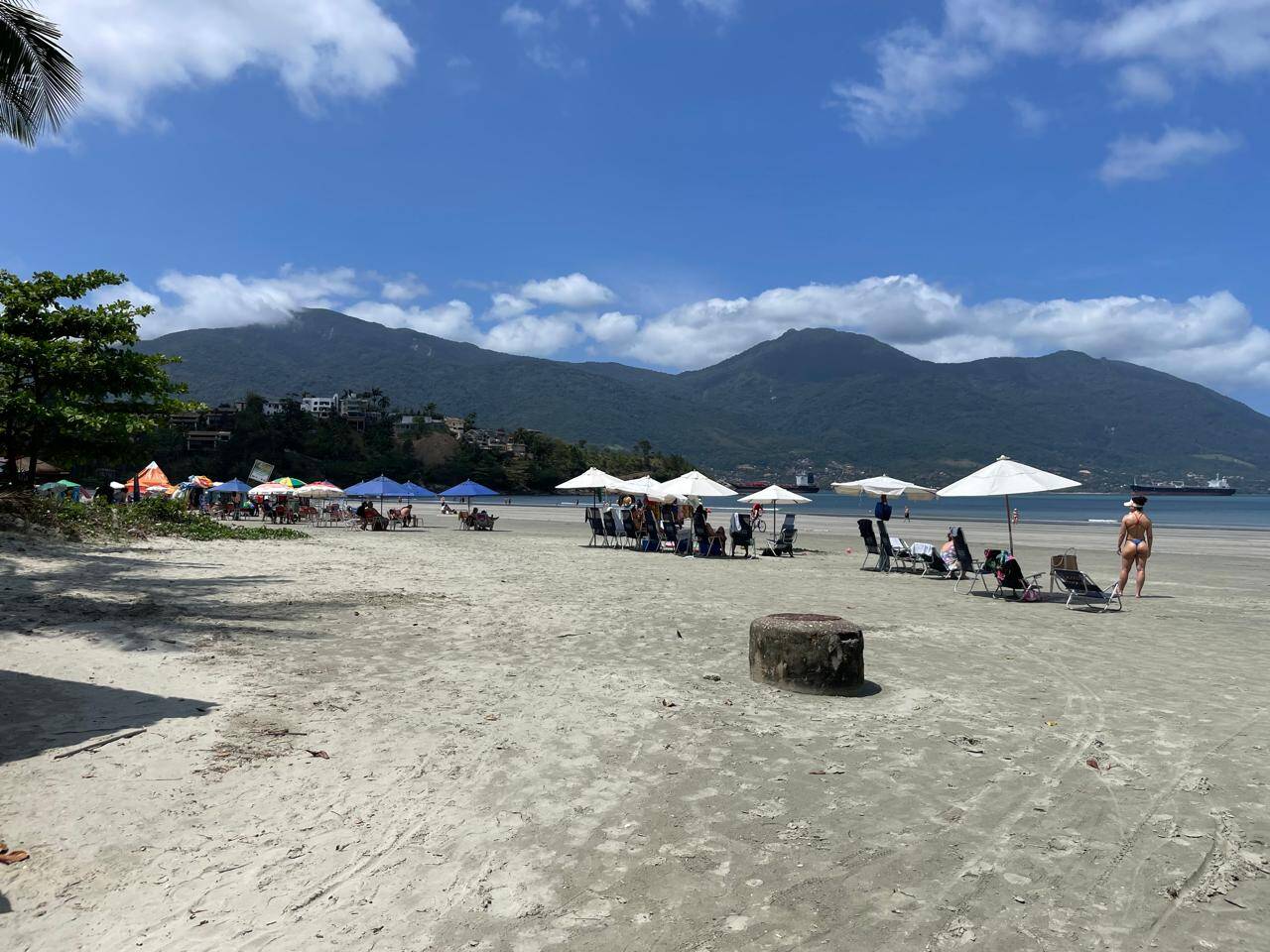 Casa, 5 quartos, 720 m² - Foto 47