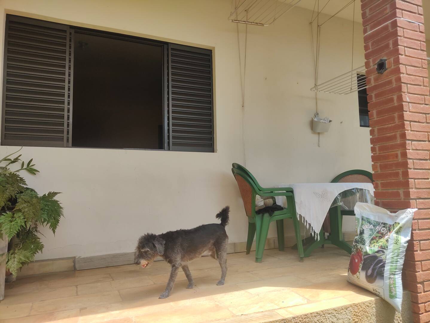 Casa, 3 quartos, 718 m² - Foto 48