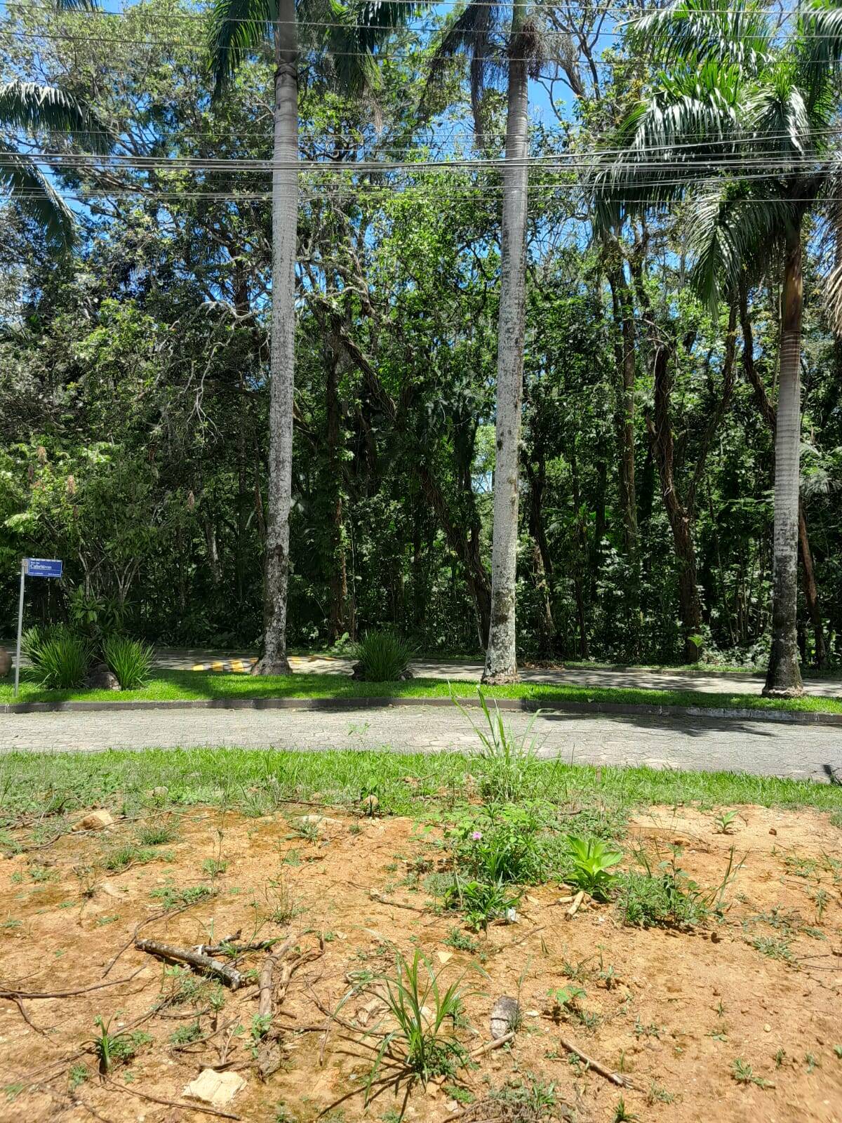 Terreno, 403 m² - Foto 4