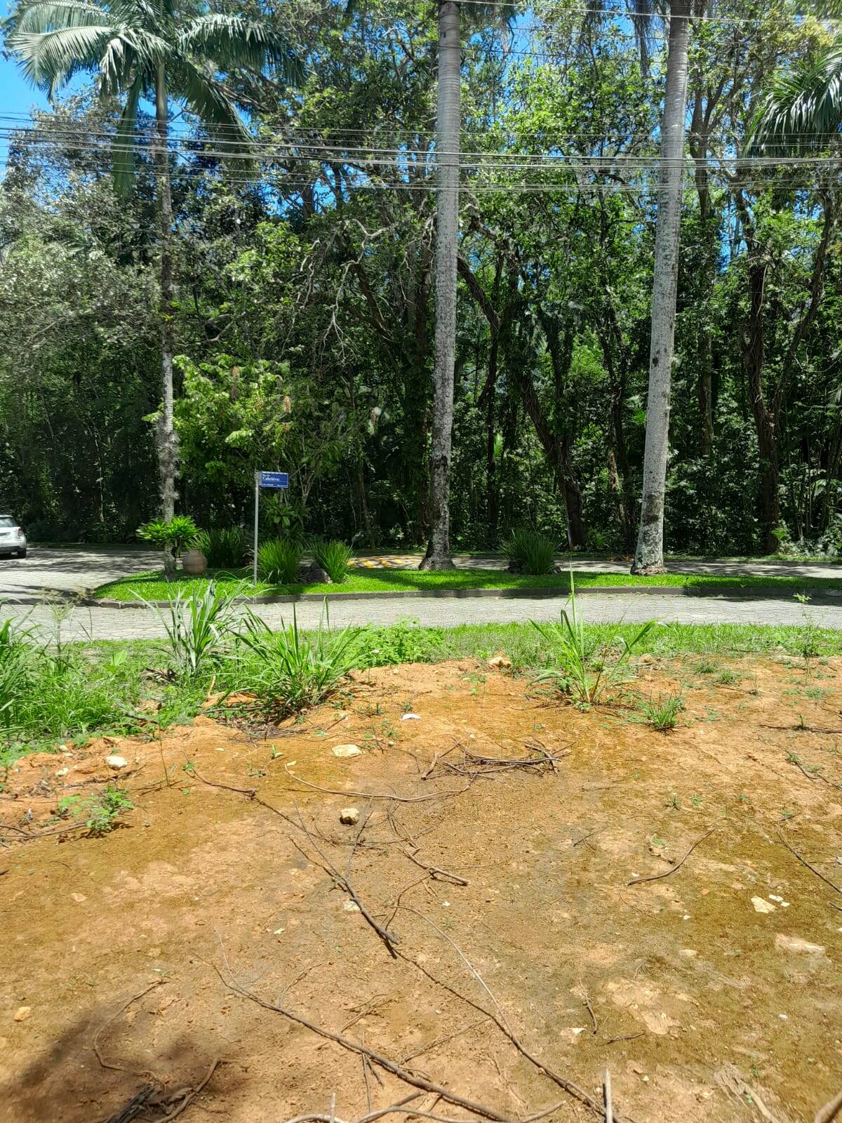 Terreno, 403 m² - Foto 5