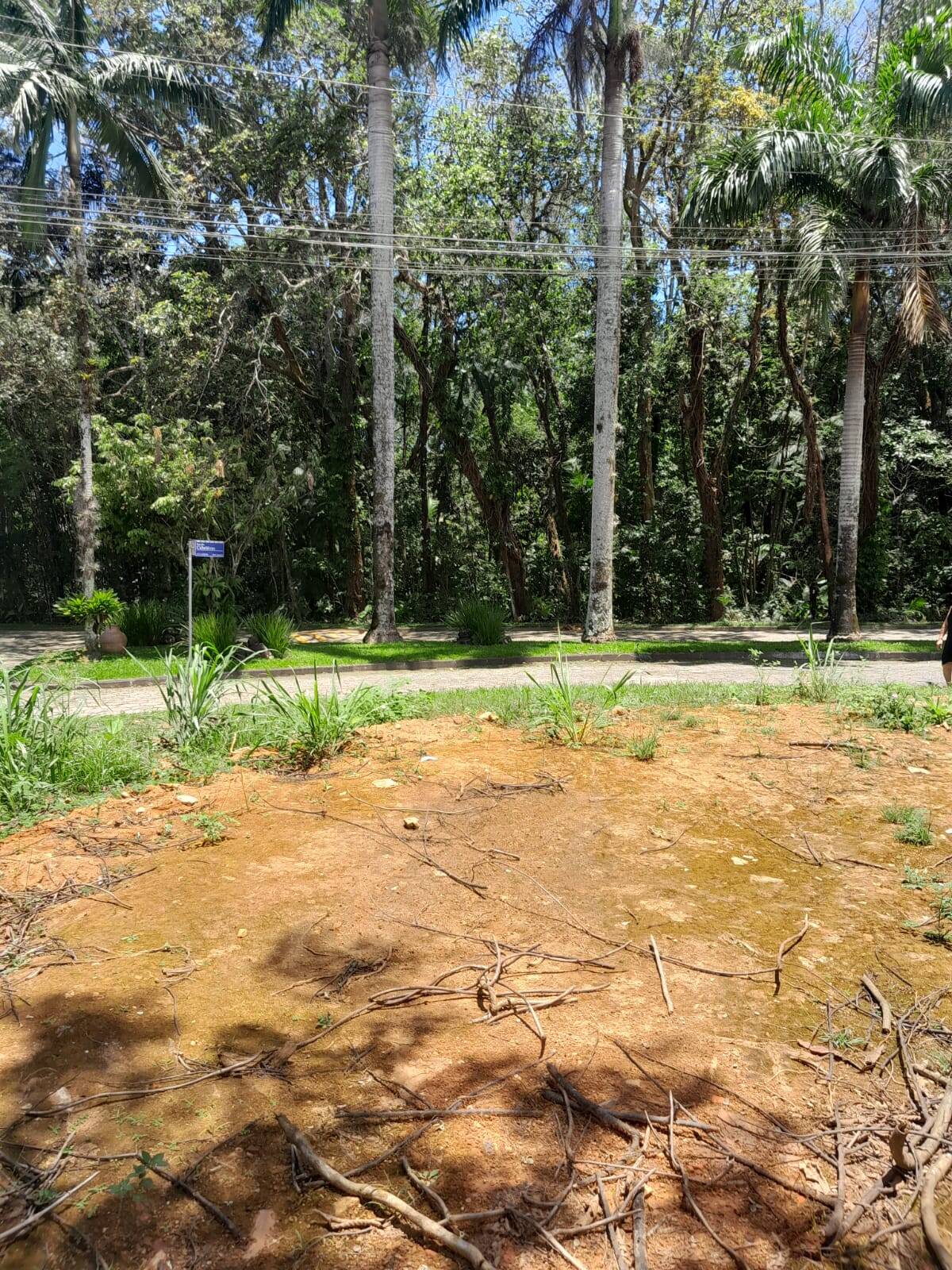 Terreno, 403 m² - Foto 2