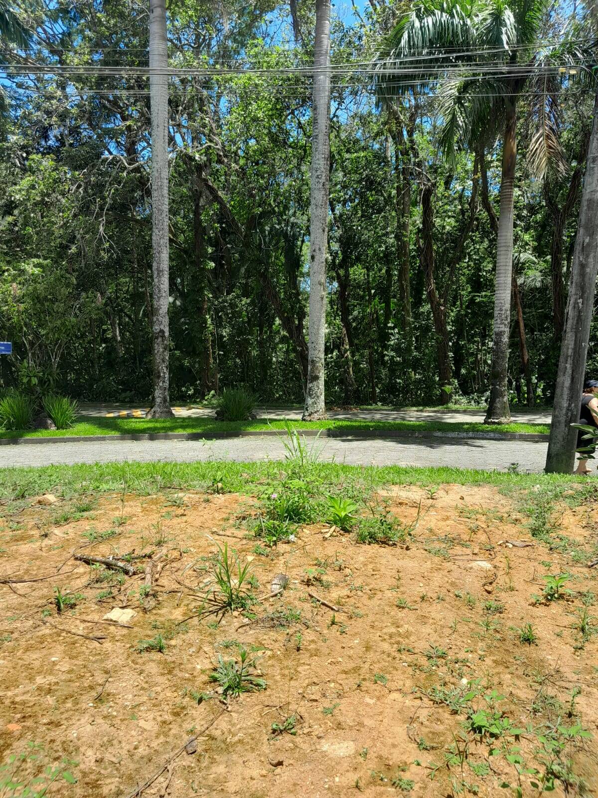 Terreno, 403 m² - Foto 8