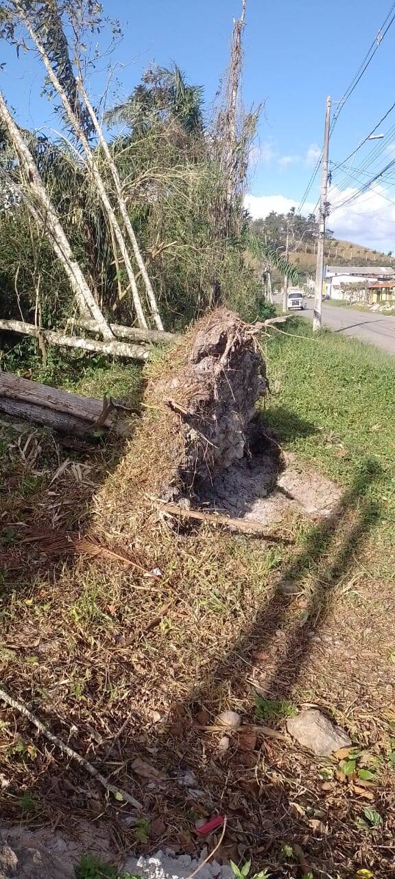 Terreno, 490 m² - Foto 5