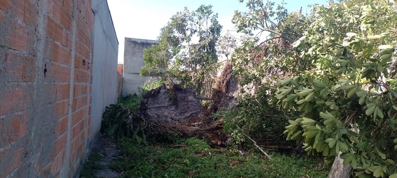 Terreno, 490 m² - Foto 6