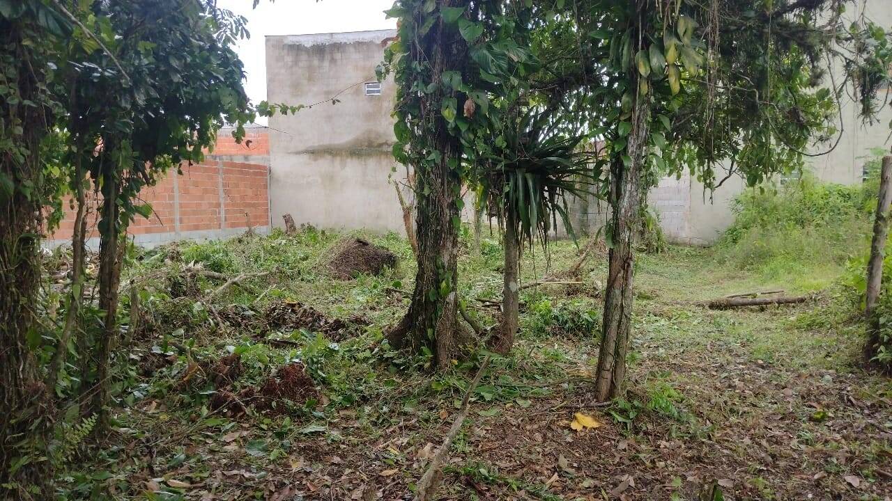 Terreno, 490 m² - Foto 2