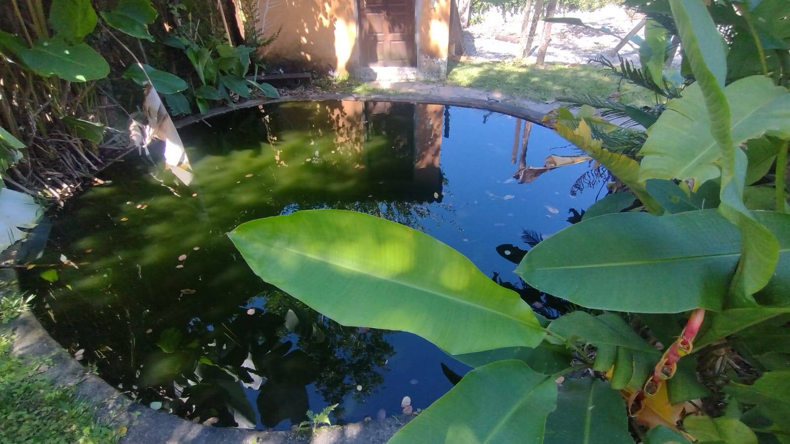 Casa, 4 quartos, 1500 m² - Foto 55