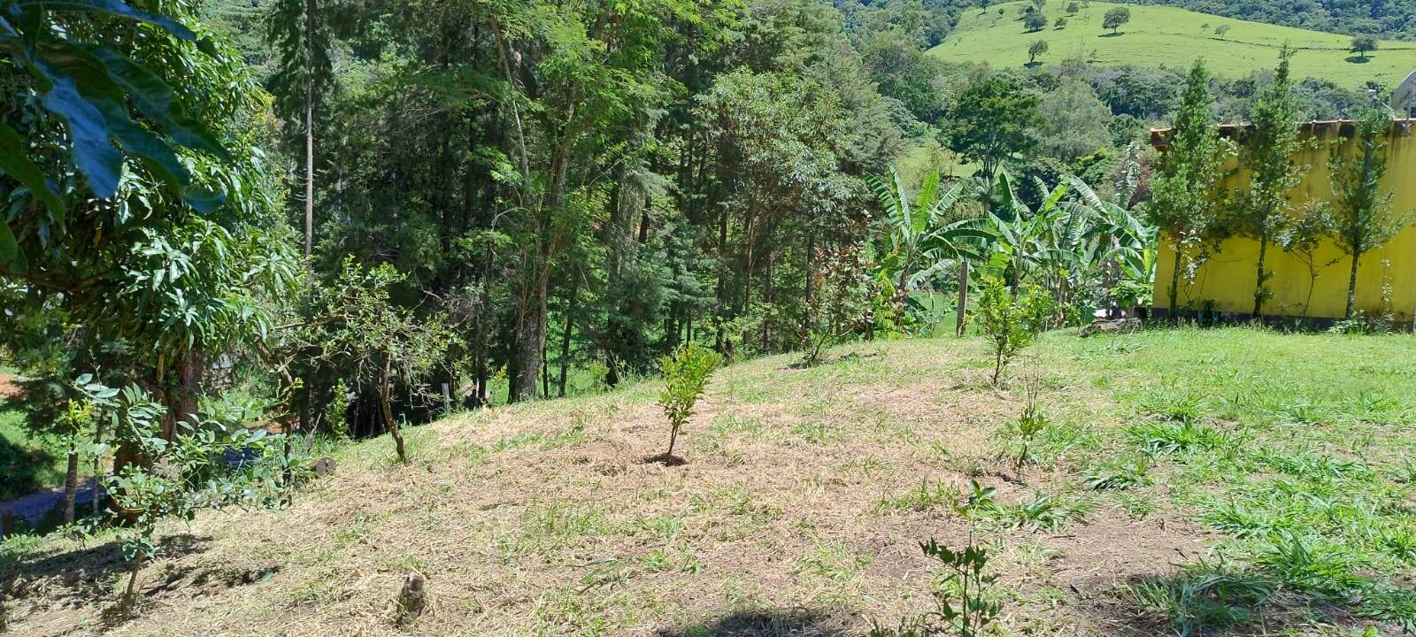 Chácara, 2 quartos, 1 hectares - Foto 13