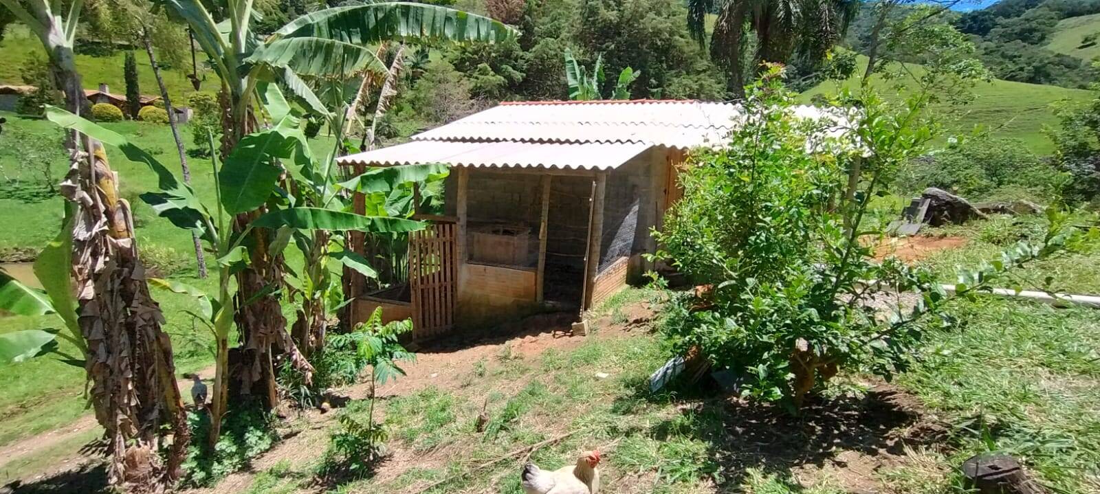 Chácara, 2 quartos, 1 hectares - Foto 8