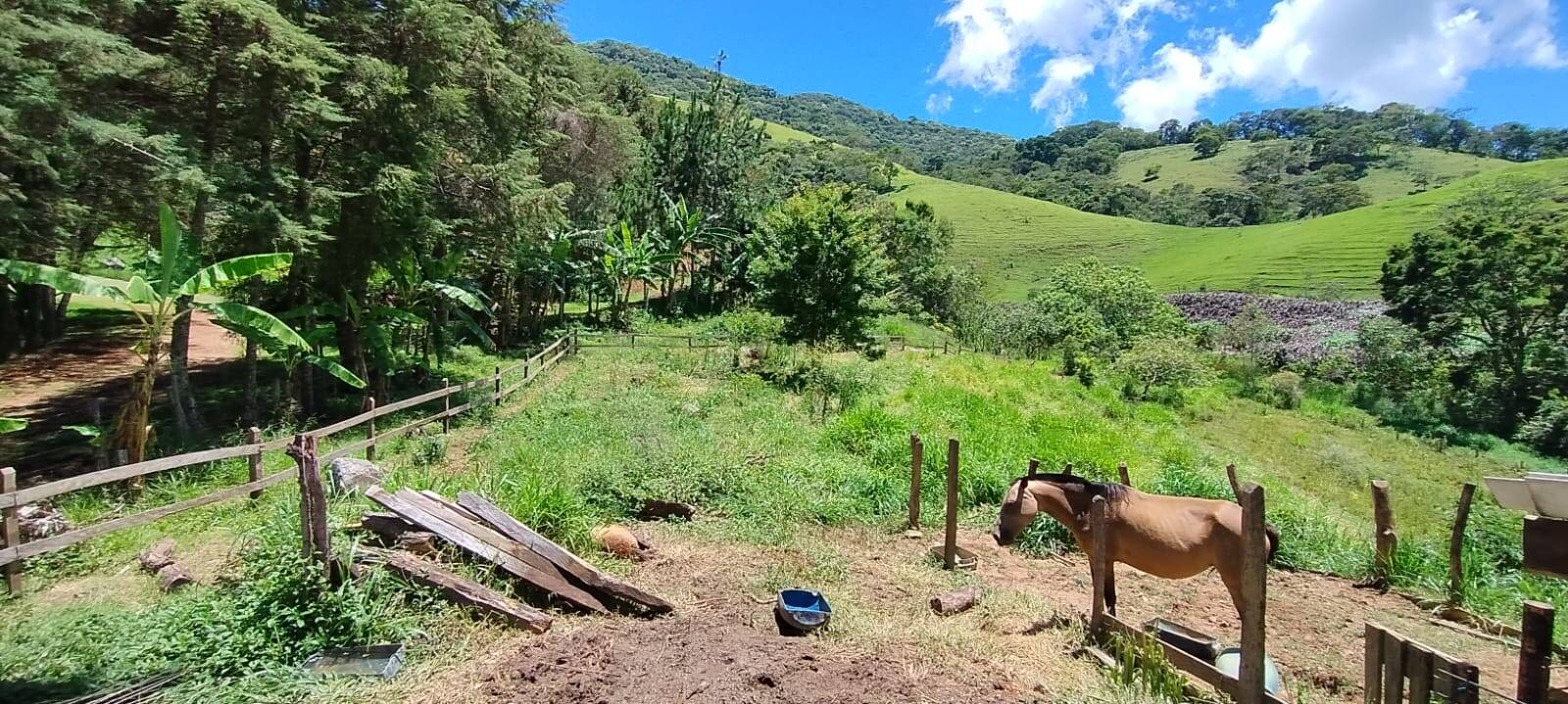Chácara, 2 quartos, 1 hectares - Foto 15