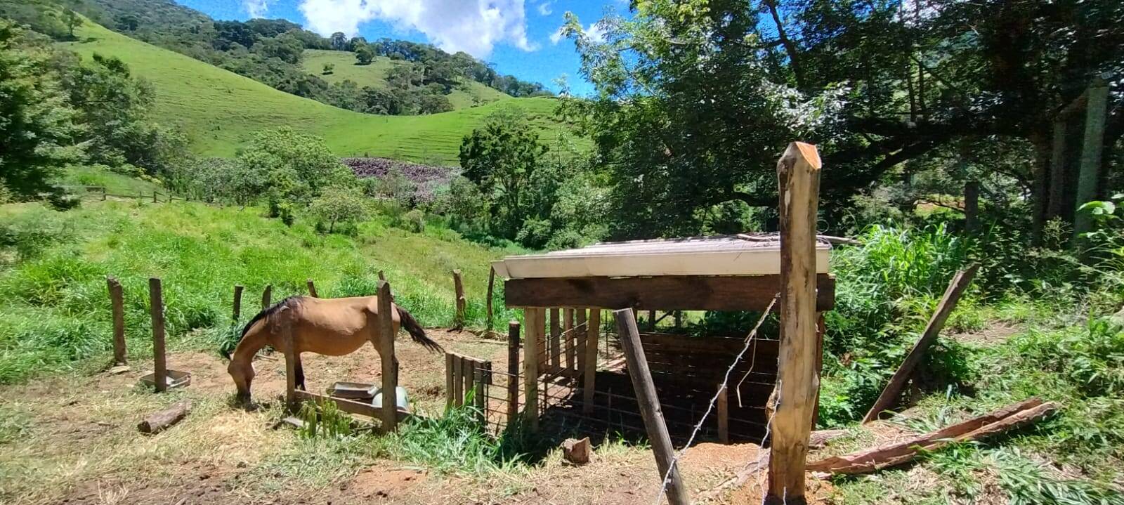 Chácara, 2 quartos, 1 hectares - Foto 12