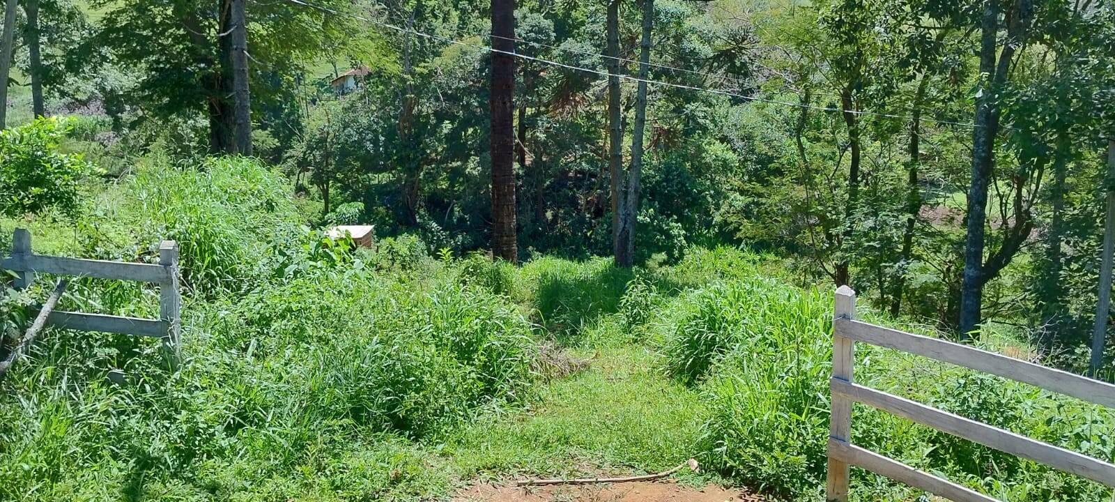 Chácara, 2 quartos, 1 hectares - Foto 17