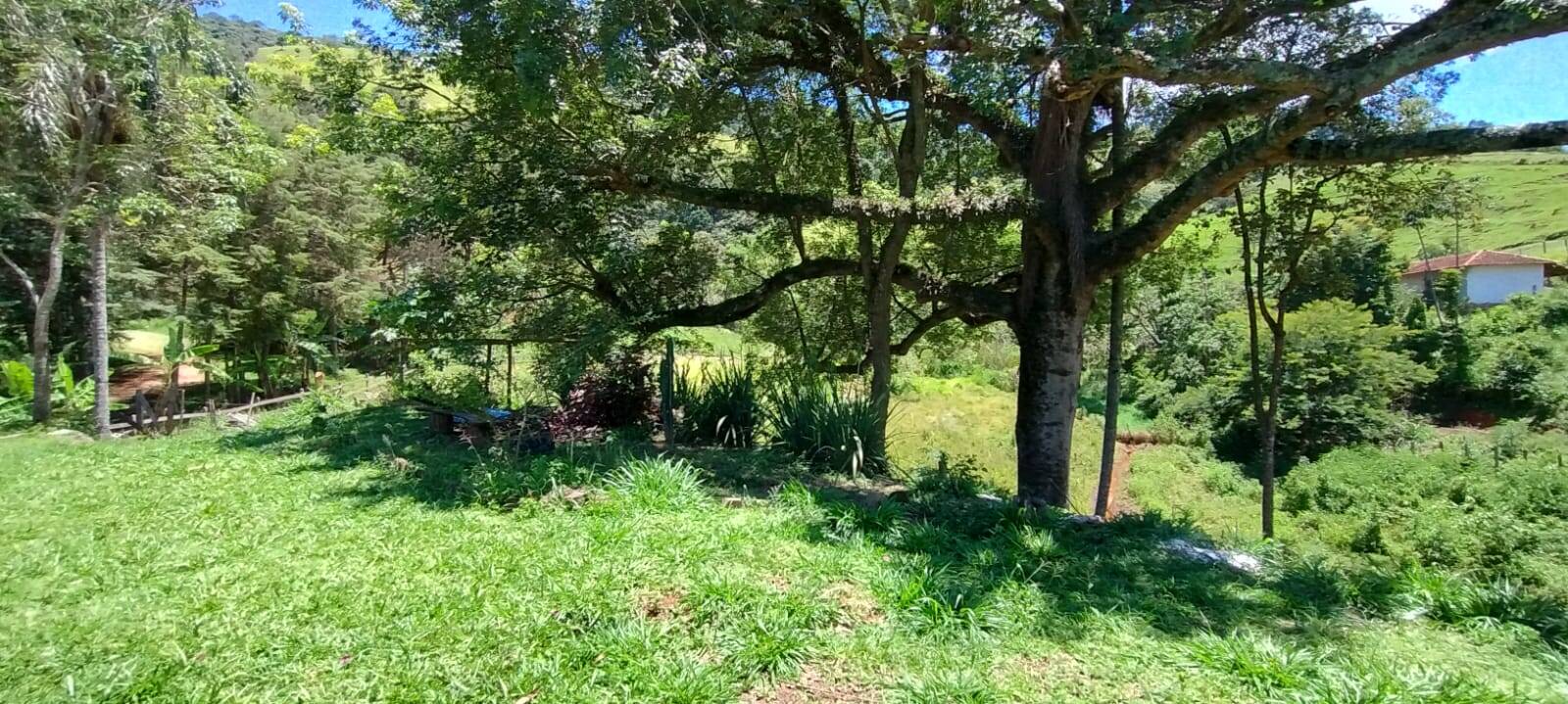 Chácara, 2 quartos, 1 hectares - Foto 19