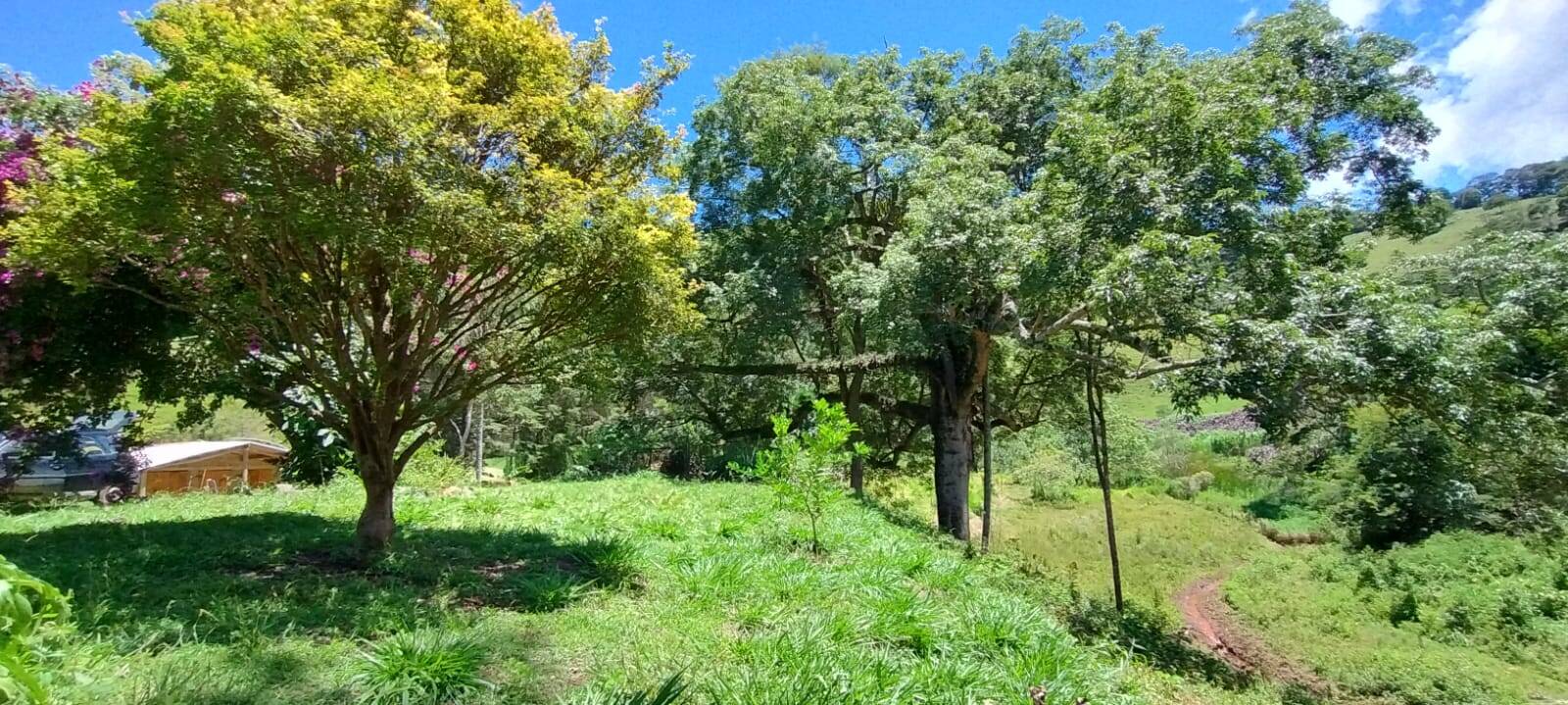 Chácara, 2 quartos, 1 hectares - Foto 18