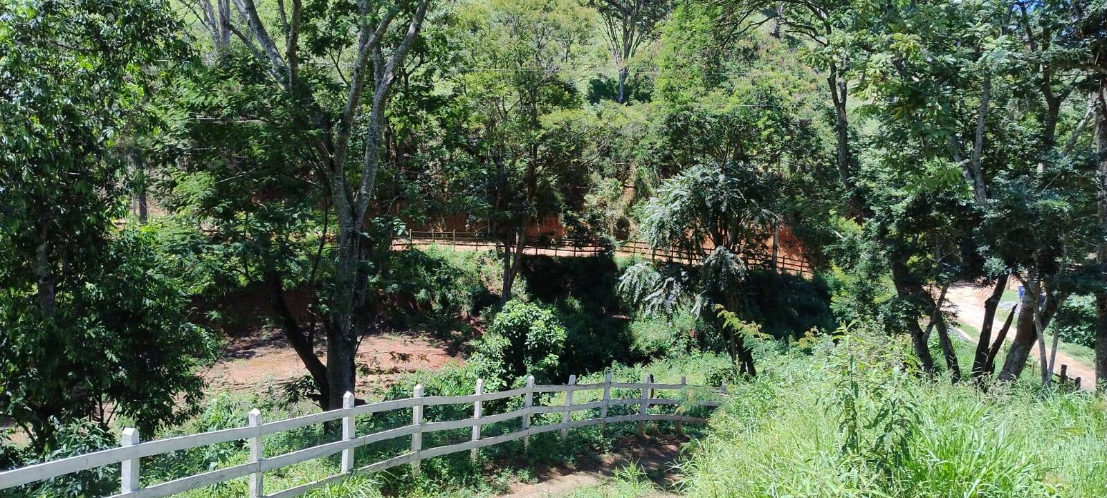 Chácara, 2 quartos, 1 hectares - Foto 21