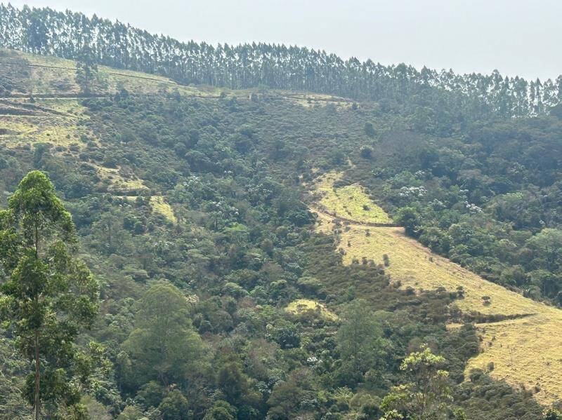 Fazenda, 87 m² - Foto 17