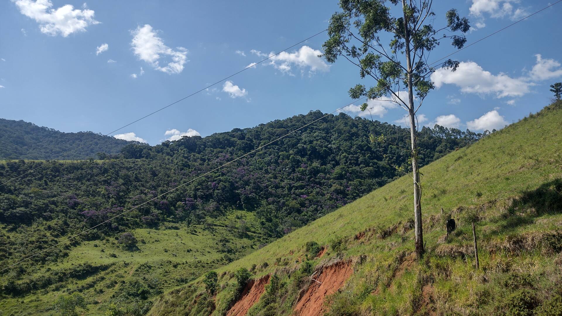 Fazenda, 87 m² - Foto 28