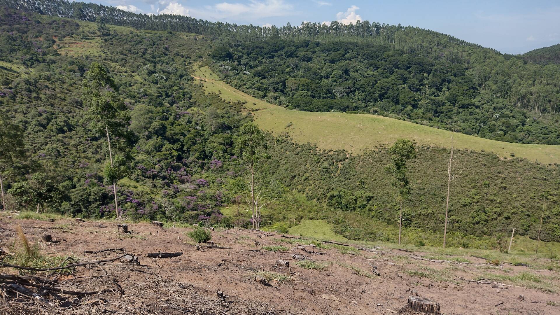 Fazenda, 87 m² - Foto 37