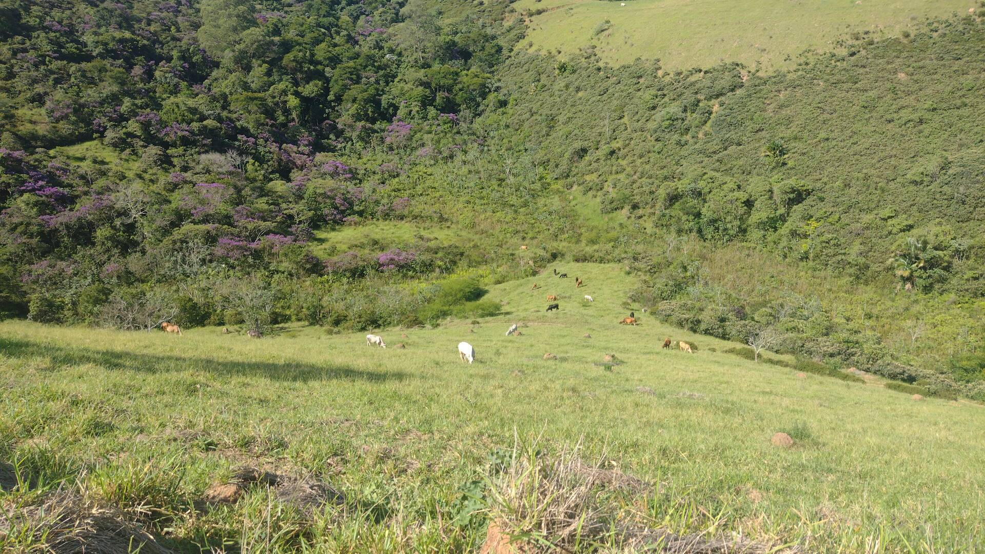 Fazenda, 87 m² - Foto 50