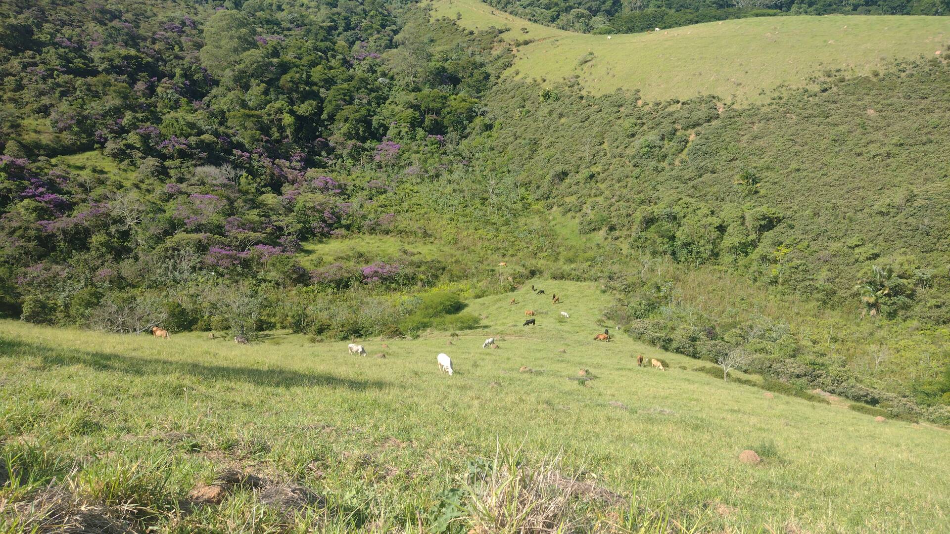 Fazenda, 87 m² - Foto 51