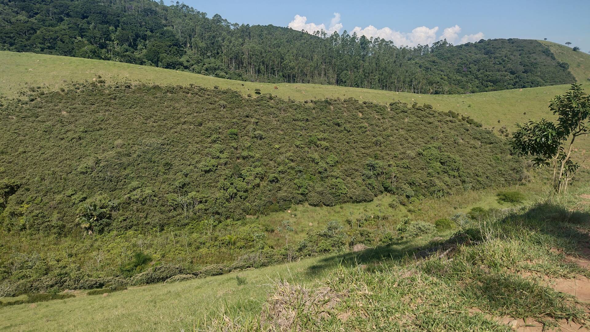 Fazenda, 87 m² - Foto 52