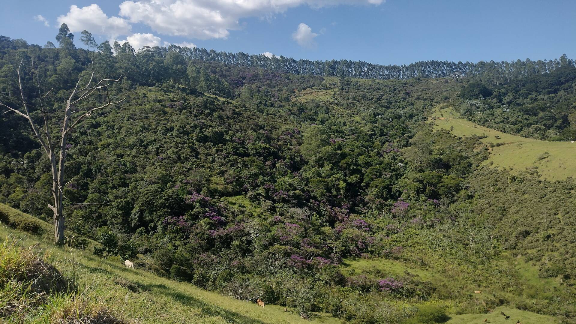 Fazenda, 87 m² - Foto 54