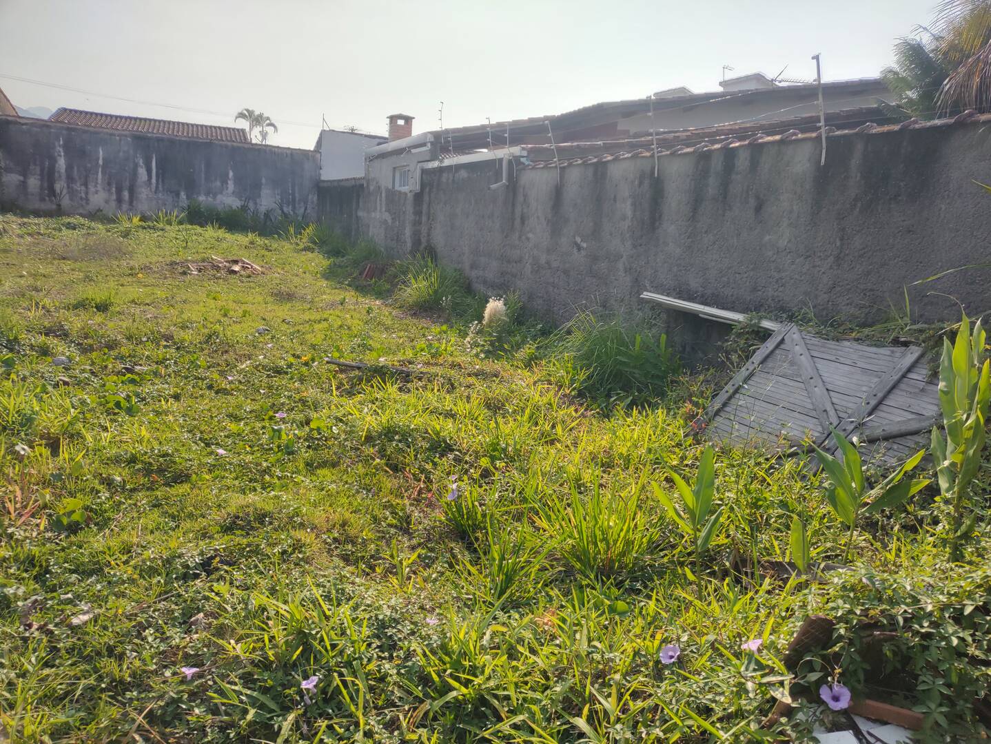 Terreno, 300 m² - Foto 3