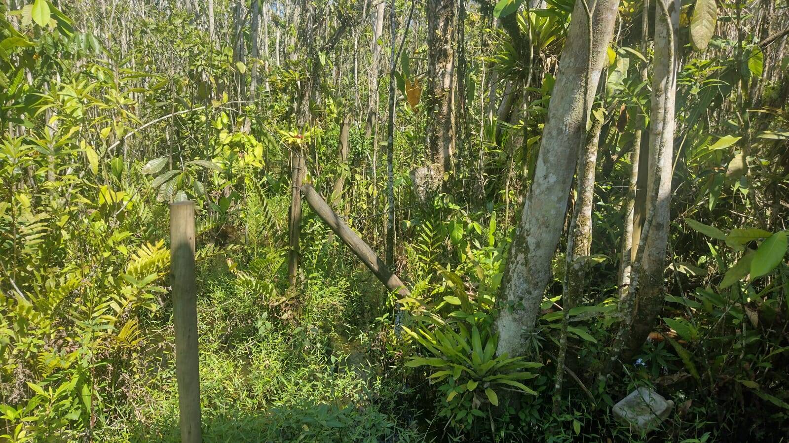 Terreno, 360 m² - Foto 2