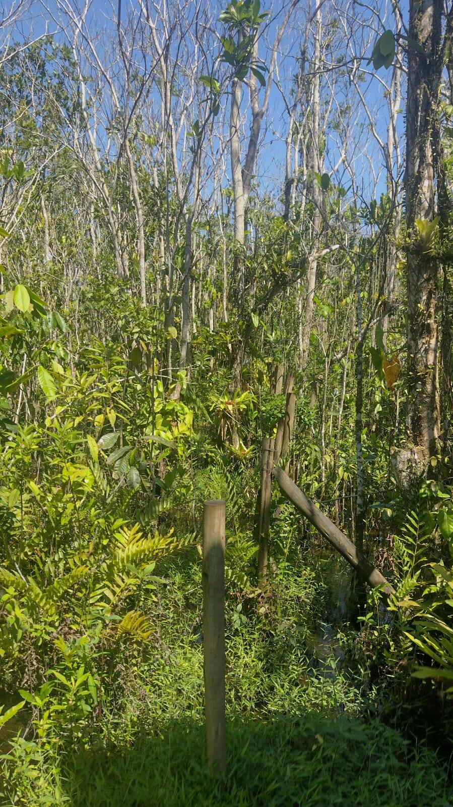 Terreno, 360 m² - Foto 1