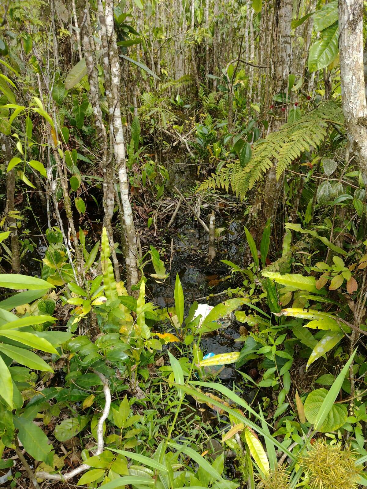 Terreno, 360 m² - Foto 3