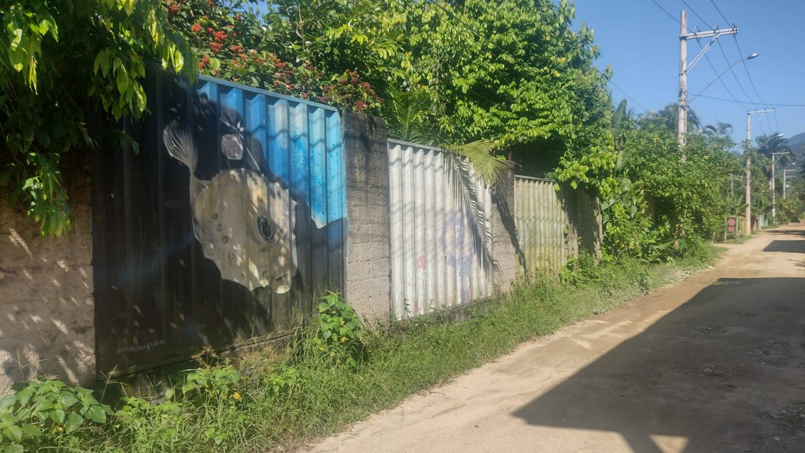 Terreno, 360 m² - Foto 4