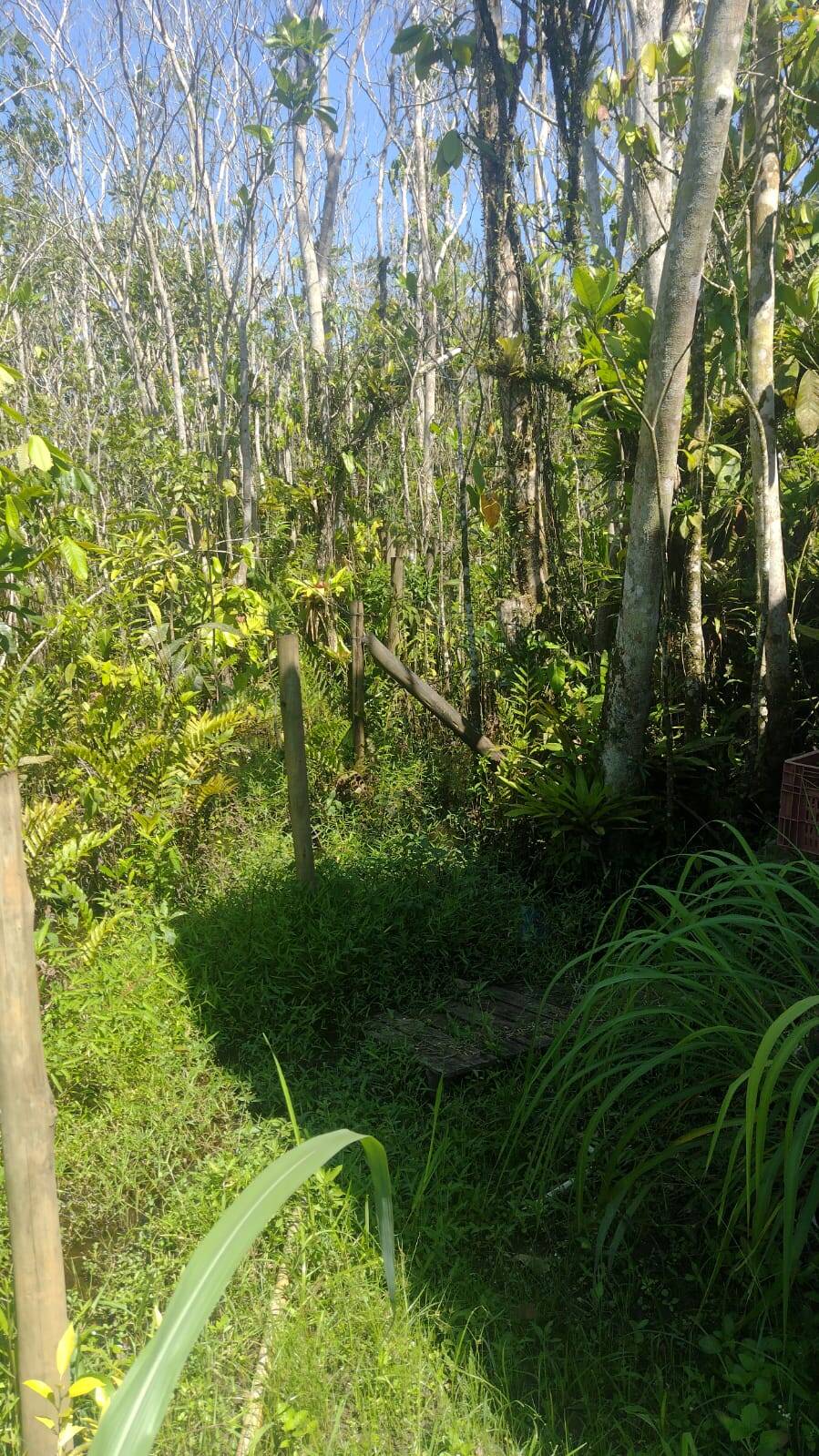 Terreno, 360 m² - Foto 8