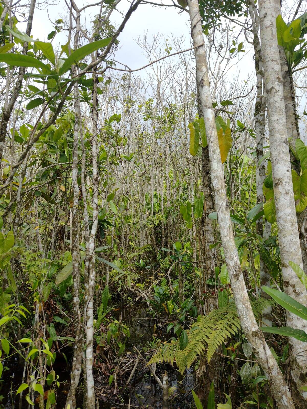 Terreno, 360 m² - Foto 9