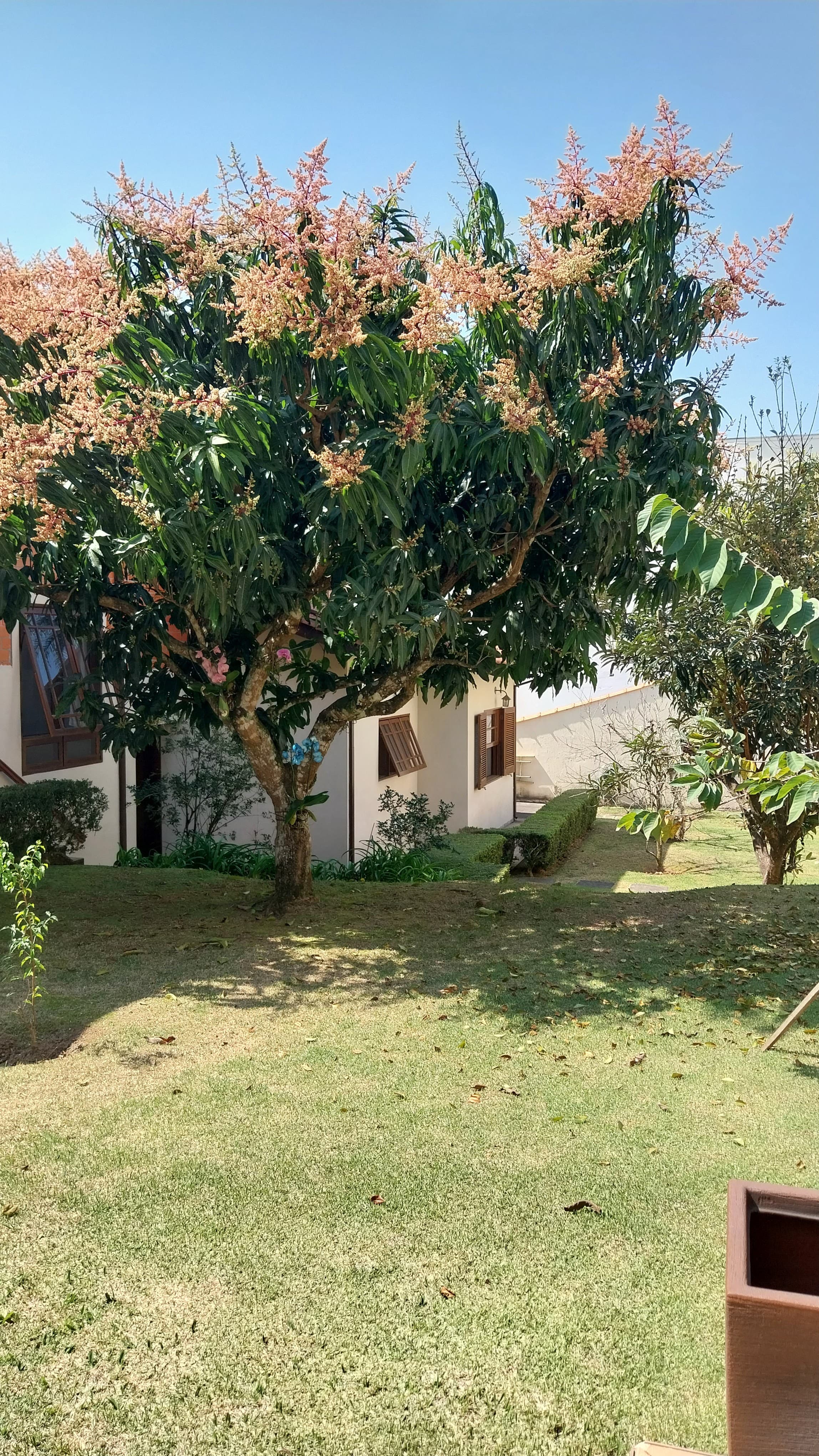 Casa, 4 quartos, 968 m² - Foto 37