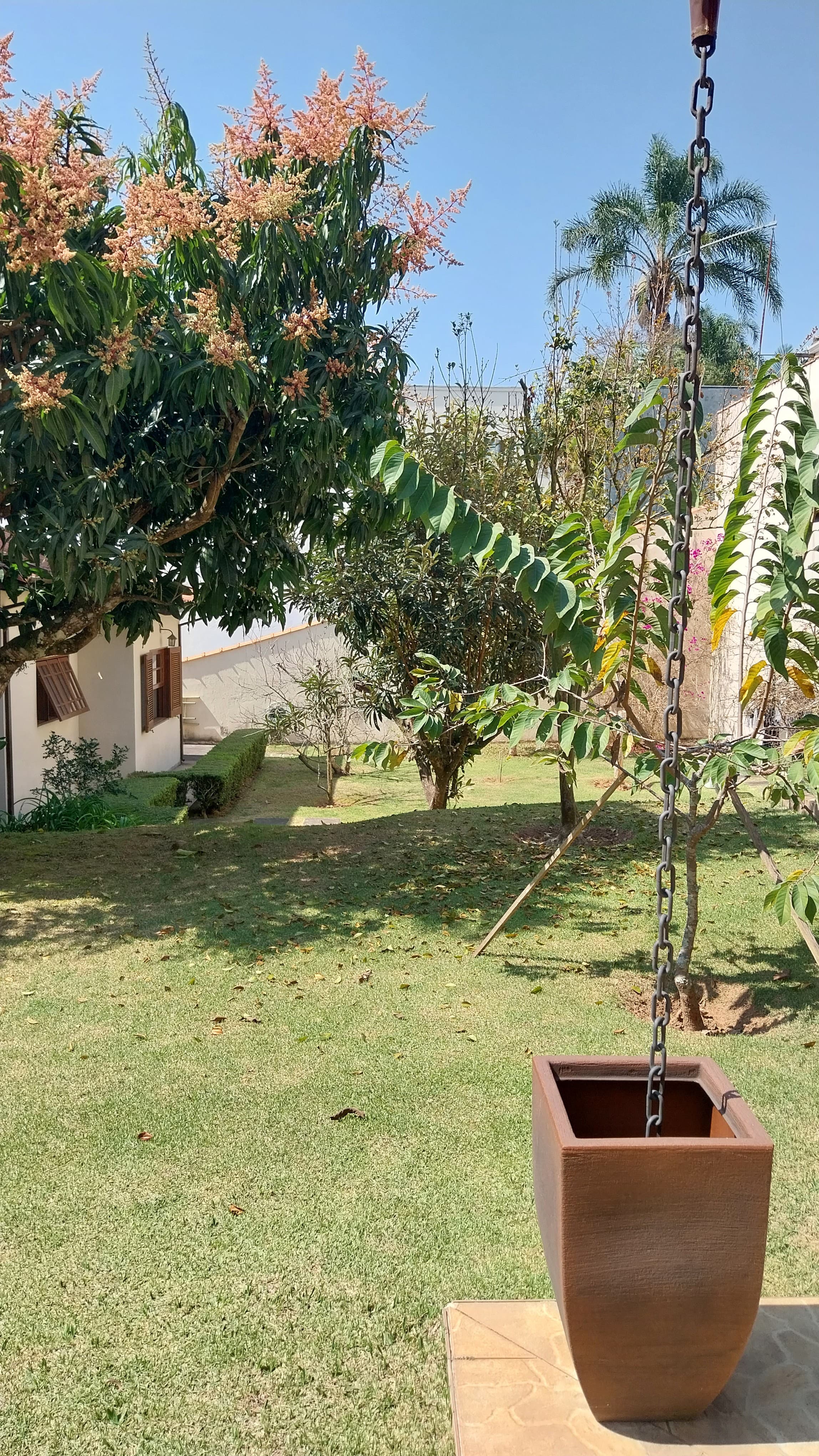 Casa, 4 quartos, 968 m² - Foto 36