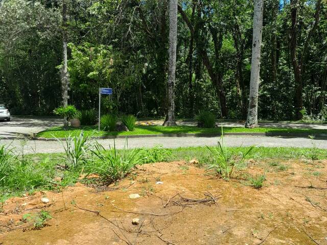 #TE6001 - Área para Venda em Caraguatatuba - SP - 3