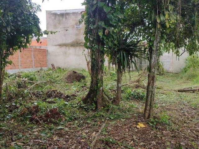 Área para Venda em Caraguatatuba - 4