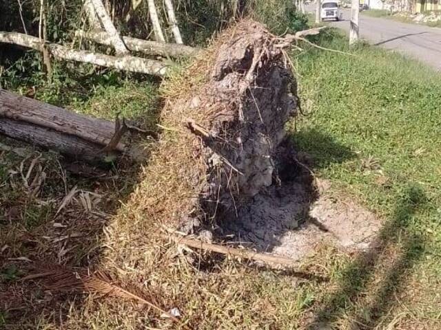 Área para Venda em Caraguatatuba - 5
