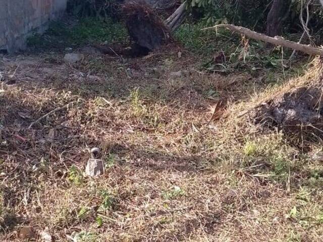 #TE6002 - Área para Venda em Caraguatatuba - SP - 3