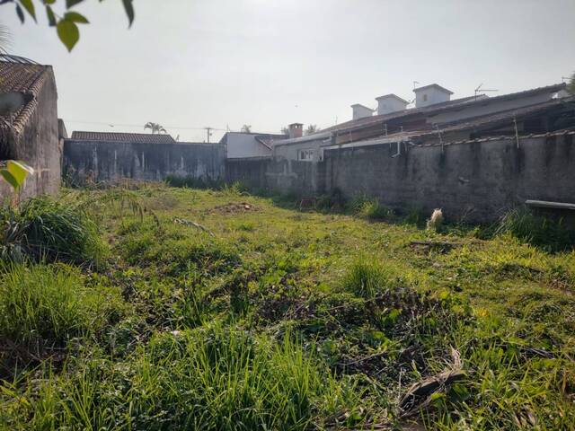 #TE6006 - Área para Venda em Caraguatatuba - SP - 2