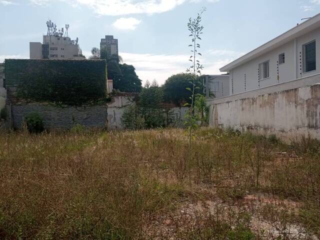 #TE6004 - Área para Venda em São Paulo - SP - 2